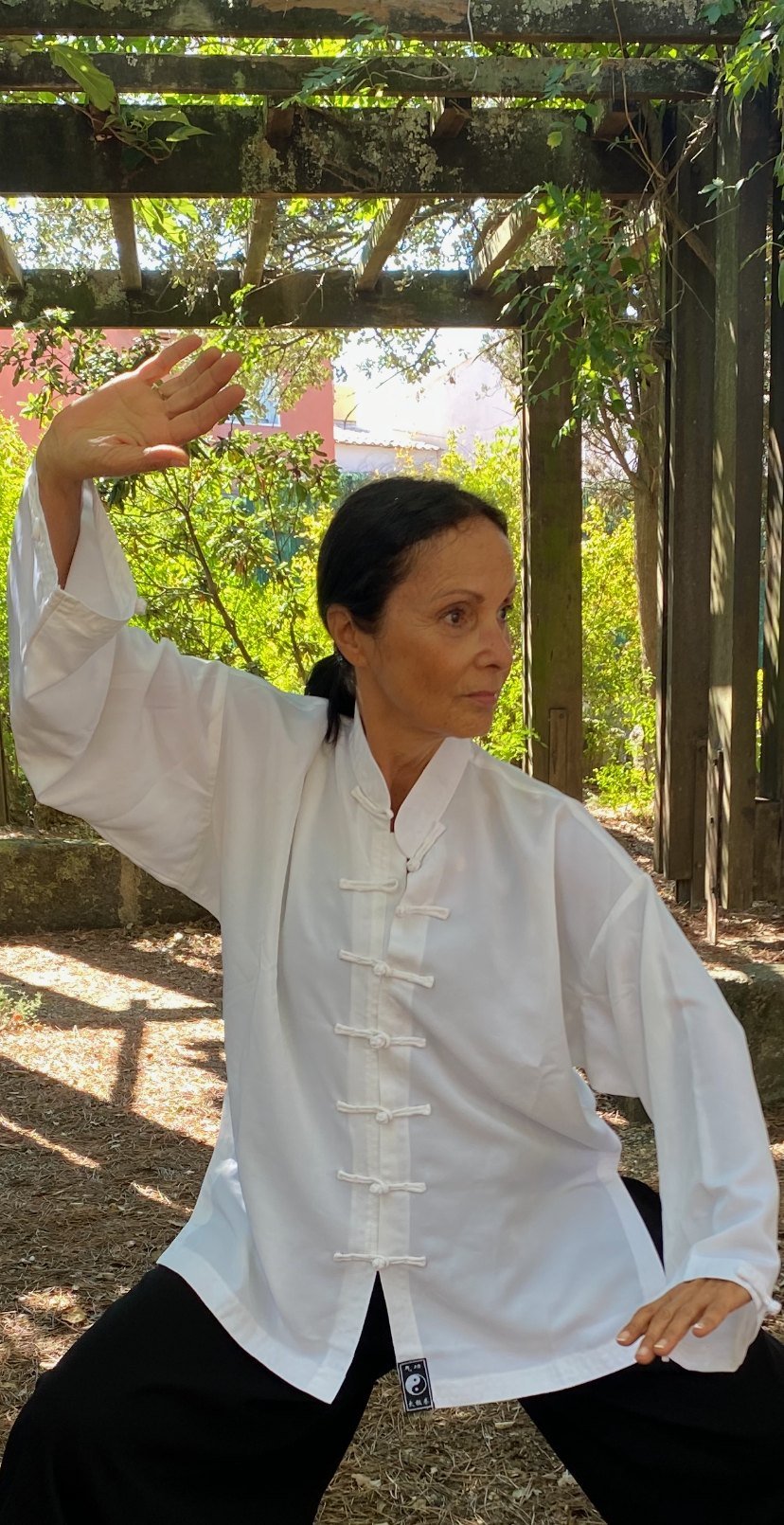 Marie F. Sauri, enseignante de l'Académie Huojia, en posture de tai chi