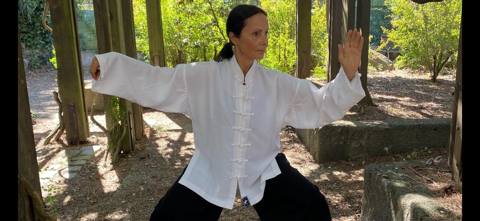 Le simple fouet — Marie F. Sauri